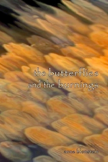 The Butterflies and the Burnings,
                                Anne Blonstein